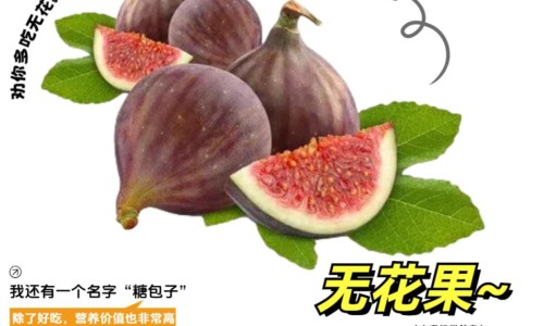 金花消痤丸的功能主治-金花消痤颗粒的功效与作用网 - 网站提供金花消痤丸的功能主治小常识、金花消痤丸说明书图片