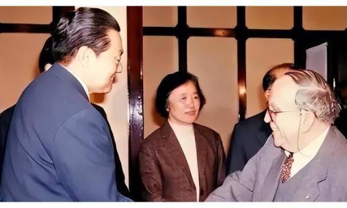 金花消痤颗粒的功效与作用网 - 网站提供金花消痤丸的功能主治小常识、金花消痤丸说明书图片